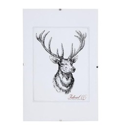 IDEAL TREND RX Frameless Picture Frame Picture Holder Clip Frame Photo Frame Plastic Glass Size: 30 x 30 cm