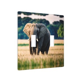 YYHWHJDE Double Switch Wall Plate Durable Heat Resistant for Residential and Commercial Areas Elephant in The Grassland Picture