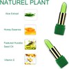Aloe Vera Lipstick, Aloe Vera Lip Balm, Moisturizing Crystal Jelly