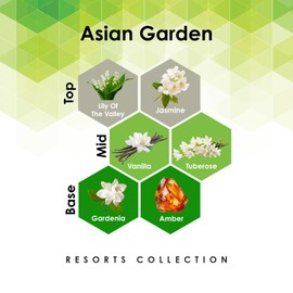 Asian Garden 4 oz Fragrance Oil Refill for Oil Diffuser with Jasmine, Vanilla, Amber, & More Notes