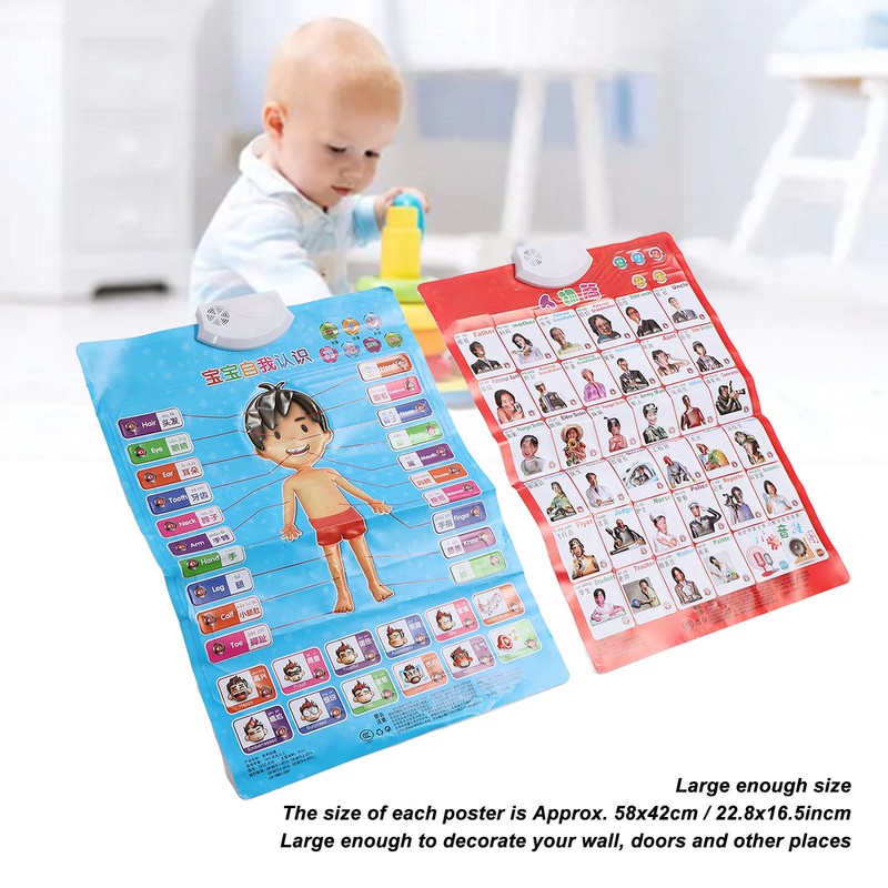 2pcs Chinese English Phonics Posters Multipurpose Fun Early Education Self