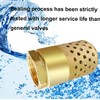 Brass Foot Valve, 2 inch NPT Spring Mesh Check Valve