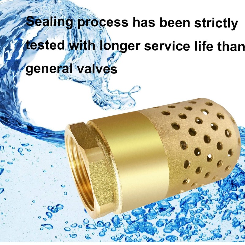 Brass Foot Valve, 2 inch NPT Spring Mesh Check Valve
