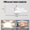 Socket Ceiling Fan Light with Remote and 1 Socket Extender,