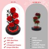 DHOEM Preserved Forever Roses in Glass Dome,Birthday Flower Gift for