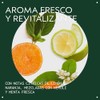 Aveda Scalp Solutions Balancing Shampoo Limpiador Hidratante