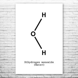 Water H2O Molecule Poster Print, Science Teacher Gift, Student Gift, Chemistry Art, Classroom Decor, Lab Technician Gift Black & White (12 inch x 18 inch)