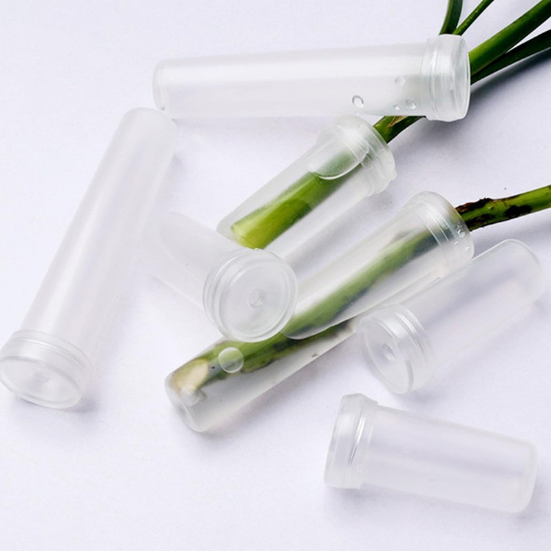 Feliciay Pack of 33 Flower Tubes, Flower Water Tubes with