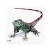 3D Sticker Lizard Lizard Statement Car 3D Sticker 14.5 x