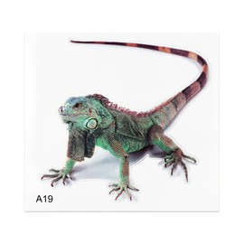 3D Sticker Lizard Lizard Statement Car 3D Sticker 14.5 x 15.5 cm