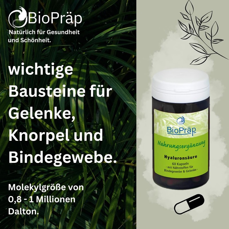 BioPräp Hyaluronic Acid Capsules with MSM | 60 Cellulose Capsules