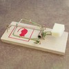 Relaxdays Mouse Traps Set of 40 Classic Mouse Traps Reusable