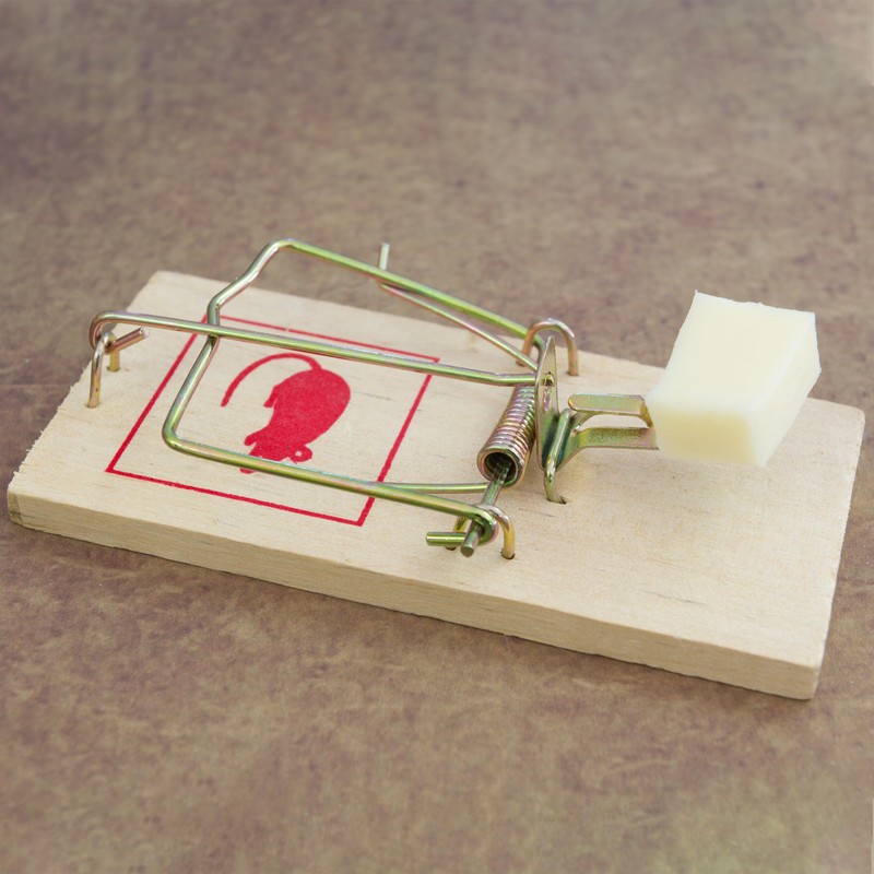 Relaxdays Mouse Traps Set of 40 Classic Mouse Traps Reusable