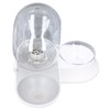 Pet Water Dispenser Food Feeder Cat Automatic Drinking Snail Shape