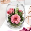 Fiora Flower | Long Lasting Real Roses in a Sealed