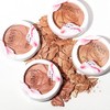 Physicians Formula Rosé All Day Set & Glow Powder &