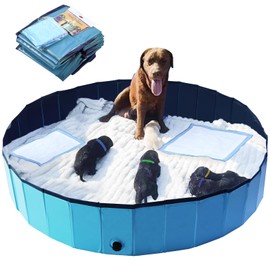 Artilife Dog Whelping Box,Dog Whelping Box Pool,Whelping Box for Dogs Birthing,Welping Box Whelping Pen Whelping Box for Puppies Whelping Supplies (Blue, 63" Dia.x12 H(160x30cm))