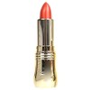 Happy pink lipstick with vivid color that lasts for a long time / 선명한 컬러가 오랫동안 지속 입술 립스틱 해피핑크
