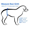 Cuddle Bands Premium Belly Band for Male Dog Incontinence and