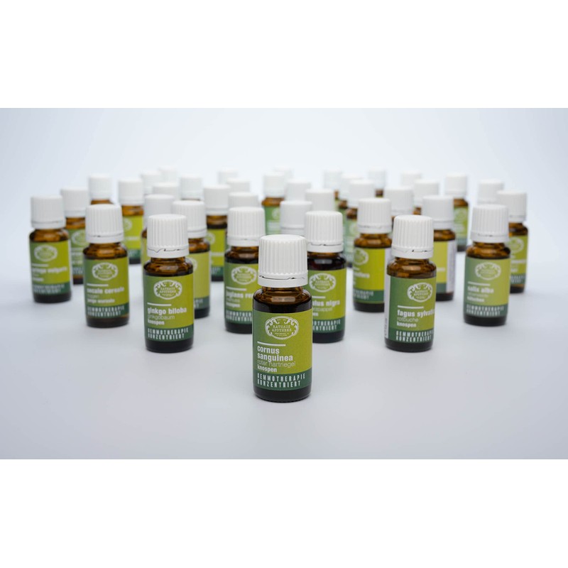 RATHAUS APOTHEKE WIEN Concentrated Bud Extract - Gemmotherapy - Cornus