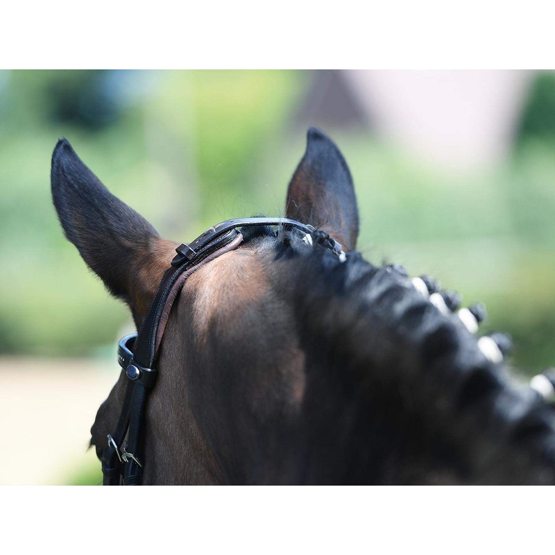 BUSSE Trense FEELING