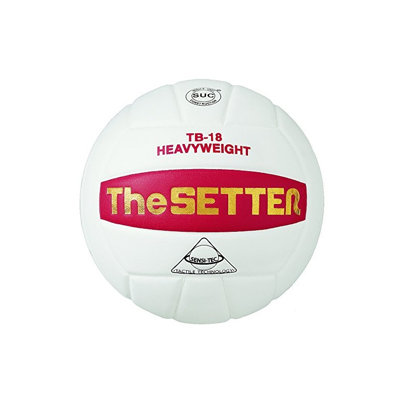 Tachikara Tb-18 The Setter Weighted Training Volleyball