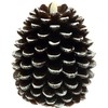 Pavilion Gift Company Brown 5 Inch Pinecone LED-Lit Battery Operated