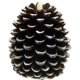 Pavilion Gift Company Brown 5 Inch Pinecone LED-Lit Battery Operated Realistic Flame Candle Made from Real Wax