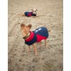 Ariat Team Softshell Dog Jacket - Insulated, Water Repellant Pet
