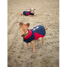 Ariat Team Softshell Dog Jacket - Insulated, Water Repellant Pet Coat