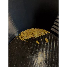 Gold Nugget Paydirt GOLD GUARANTEED Best Deal On The Market *FREE VIAL*