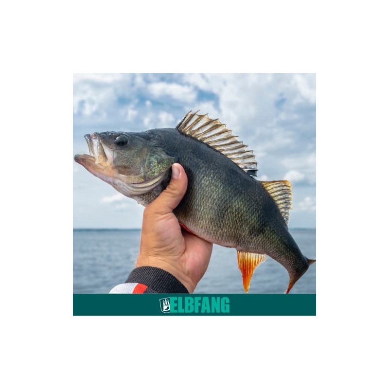 4 Perch Gambler Mini Pilker Wobbler Perch Fishing Accessories