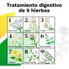 Iberogast Solución Oral Medicina Herbolaria Para Colitis Y Gastritis Gotero