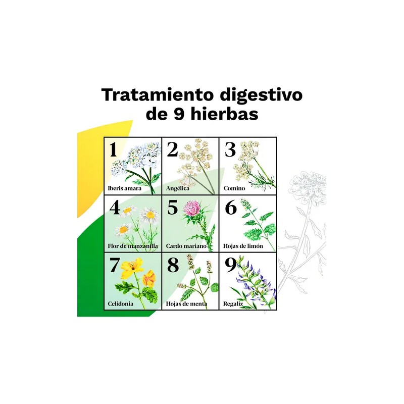 Iberogast Solución Oral Medicina Herbolaria Para Colitis Y Gastritis Gotero