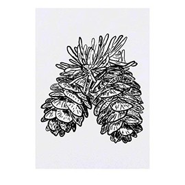 'Pine Cones' Temporary Tattoo - Water Resistant, Skin-Safe, Non-Toxic Transfer (TO00032866)