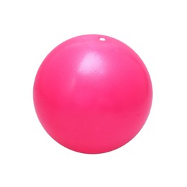 BESPORTBLE Ball Exercise Ball for Full Body Workout 25cm Balance Strength Training