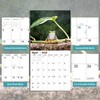 2026 Wall Calendar,Calendar 2026,Frog Monthly Wall Calendar, 12" x 24"