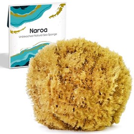 Naroa Esponja de mar natural para bañarse, esponja exfoliante corporal de ducha sin blanquear, esponja de baño exfoliante suave para una piel saludable, esponja renovable ecológica sin plástico para hombres y mujeres (pequeña)