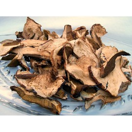 Dried European Porcini 8OZ