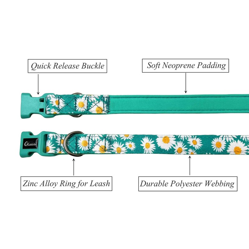 Olahibi Basic Dog Collar, Polyester Webbing Padded with Soft Neoprene,