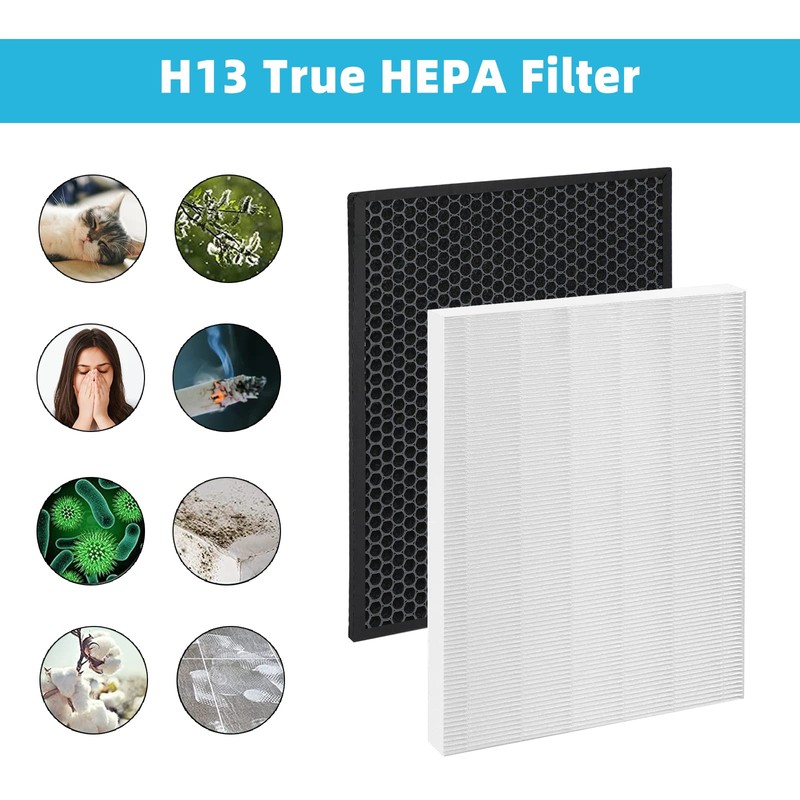 ThingRay HR900 Replacement Compatible with Winix HR900,H13 True HEPA &
