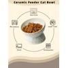 Ceramic Tilted Elevated Small Cat Bowl, for Fat Faced Cat,