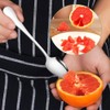 EXIN DEHCEN Kiwi Spoon, Grapefruit Spoon, 16 cm, Stainless Steel
