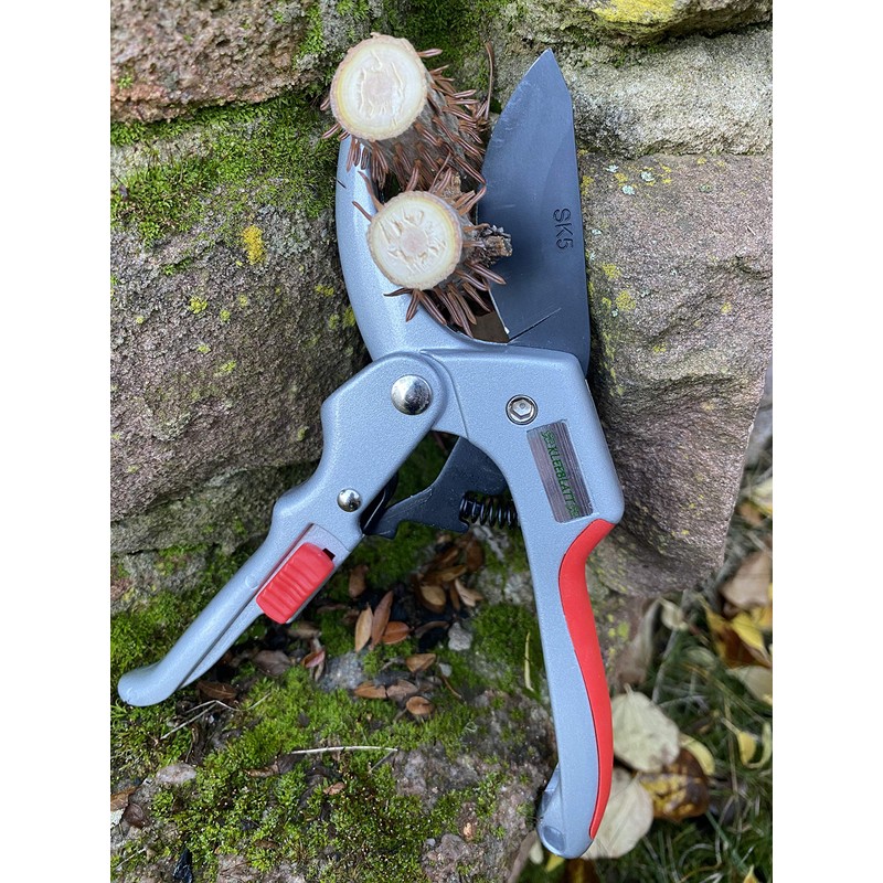 Kleeblatt GbR - Secateurs up to 60% energy saving pruning