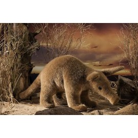 Aardvark - exquisite plush collectors soft toy - Kosen / Kösen - 35cm - 5950