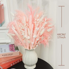 YN HI FLOWER Natural Dried Pampas Grass Bouquet Boho Wedding Home Decor Farmhouse Centerpiece in Blush Pink White & Brown (17Inche)