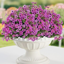 Artificial Flowers for Outdoor Indoor Garden Home Decoration, 12 Bundles Faux Flower Daisy with Eucalyptus Leaves Realistic Faux Plants, Summer Decor for Porch Patio Balcony Planter Yard(Purple)