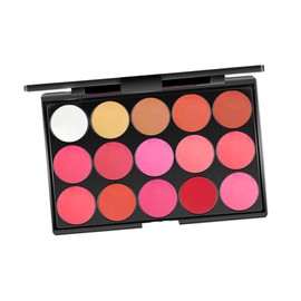 Perfeclan Lip Palette, 15 Colours, Moisturising Cosmetic Cream, Durable, Non-Sticky, 15 Lip Glosses, Lip Gloss, Makeup Palette, Makeup Set for