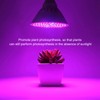 200LED Grow Light Greenhouse Plant Grow Lamp 360° Rotatable Plant