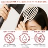 SEIOR Scalp Breeze Brush | Scalp Massage, Quick Drying, Tangle